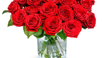 Blumen Deals, dealaholic.de
