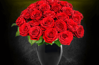 Blumen Deals, dealaholic.de