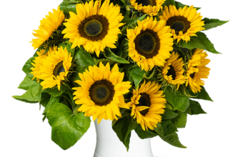 Blumen Deals, dealaholic.de