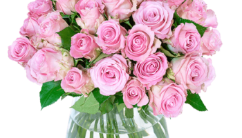 Blumen Deals, dealaholic.de