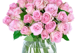Blumen Deals, dealaholic.de