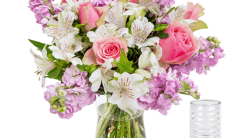 Blumen Deals, dealaholic.de