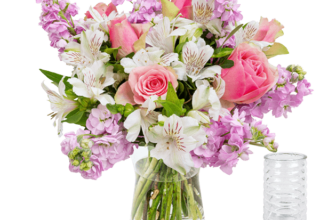 Blumen Deals, dealaholic.de