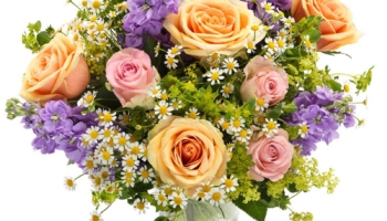Blumen Deals, dealaholic.de