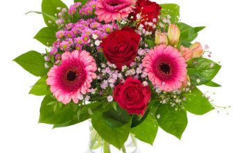 Blumen Deals, dealaholic.de