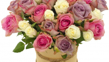 Blumen Deals, dealaholic.de