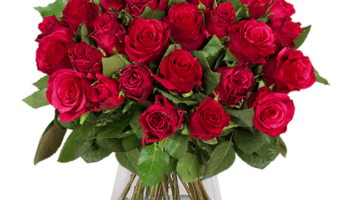 Blumen Deals, dealaholic.de