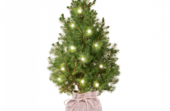 Blumen Deals, dealaholic.de